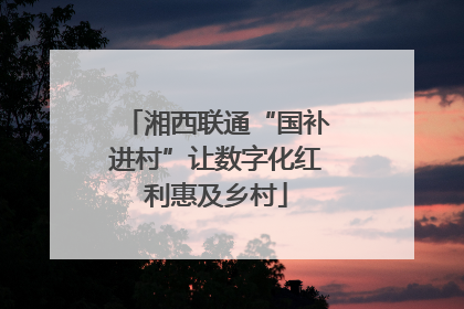 湘西联通“国补进村”让数字化红利惠及乡村