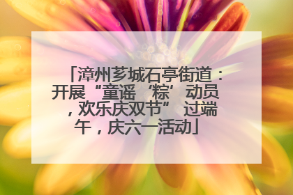 漳州芗城石亭街道：开展“童谣‘粽’动员，欢乐庆双节” 过端午，庆六一活动