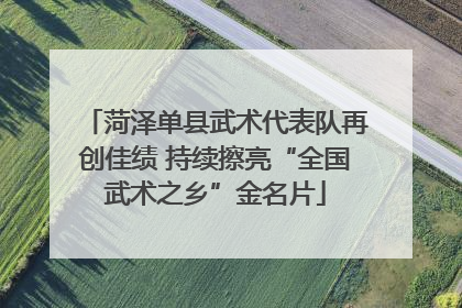菏泽单县武术代表队再创佳绩 持续擦亮“全国武术之乡”金名片