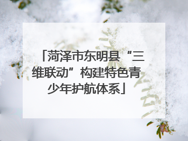 菏泽市东明县“三维联动”构建特色青少年护航体系