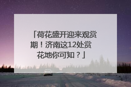 荷花盛开迎来观赏期！济南这12处赏花地你可知？