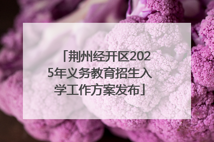 荆州经开区2025年义务教育招生入学工作方案发布