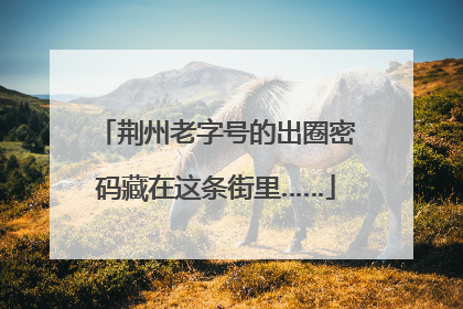 荆州老字号的出圈密码藏在这条街里……