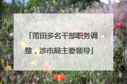 莆田多名干部职务调整，涉市局主要领导