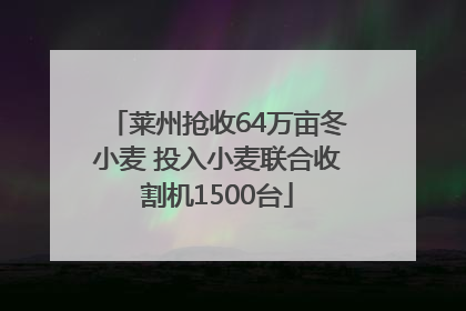 莱州抢收64万亩冬小麦 投入小麦联合收割机1500台