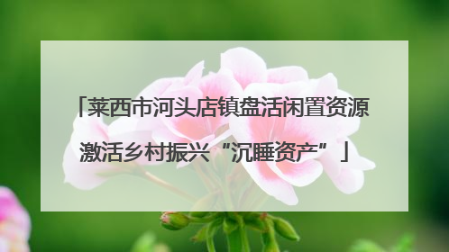 莱西市河头店镇盘活闲置资源 激活乡村振兴“沉睡资产”