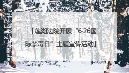 莲湖法院开展“6·26国际禁毒日”主题宣传活动