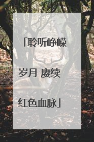 聆听峥嵘岁月 赓续红色血脉