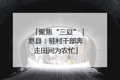 聚焦“三夏”｜息县：驻村干部奔走田间为农忙