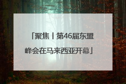 聚焦丨第46届东盟峰会在马来西亚开幕