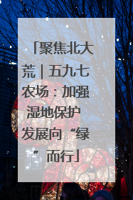 聚焦北大荒｜五九七农场：加强湿地保护 发展向“绿”而行