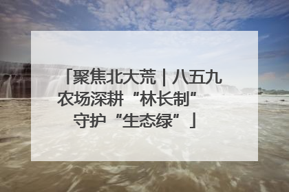 聚焦北大荒｜八五九农场深耕“林长制” 守护“生态绿”