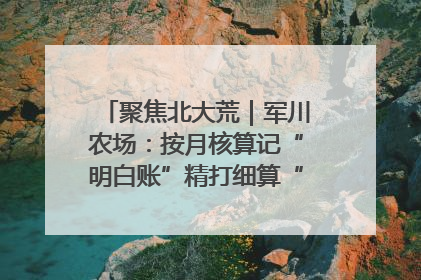 聚焦北大荒｜军川农场：按月核算记“明白账”精打细算“过紧日子”