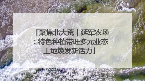聚焦北大荒｜延军农场：特色种植带旺多元业态 土地焕发新活力