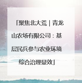 聚焦北大荒｜青龙山农场有限公司：基层民兵参与农业环境综合治理显效