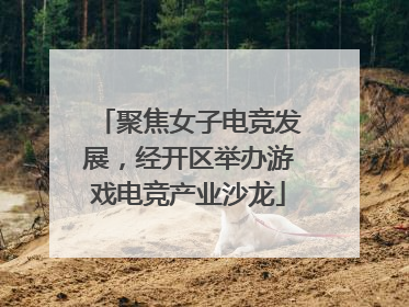 聚焦女子电竞发展，经开区举办游戏电竞产业沙龙