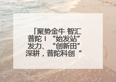 聚势金牛 智汇普陀〡“始发站”发力、“创新田”深耕，普陀科创“金牛”闪耀