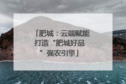 肥城：云端赋能 打造“肥城好品”强农引擎