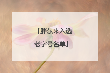 胖东来入选老字号名单