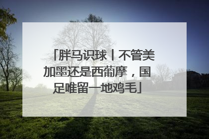 胖马识球丨不管美加墨还是西葡摩，国足唯留一地鸡毛