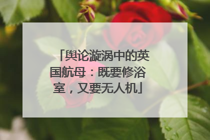 舆论漩涡中的英国航母：既要修浴室，又要无人机