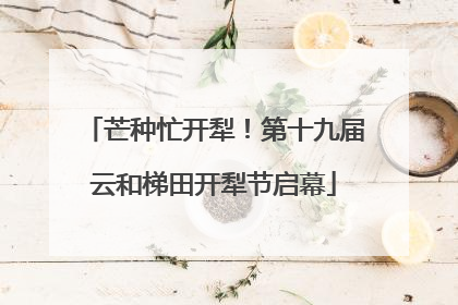 芒种忙开犁！第十九届云和梯田开犁节启幕