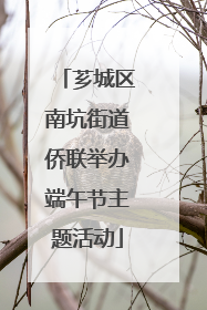 芗城区南坑街道侨联举办端午节主题活动