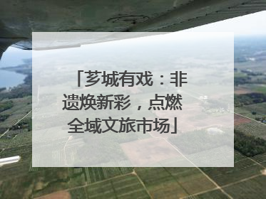 芗城有戏：非遗焕新彩，点燃全域文旅市场