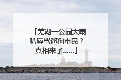 芜湖一公园大喇叭辱骂遛狗市民？真相来了……