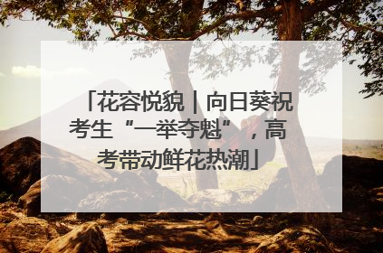 花容悦貌｜向日葵祝考生“一举夺魁”，高考带动鲜花热潮