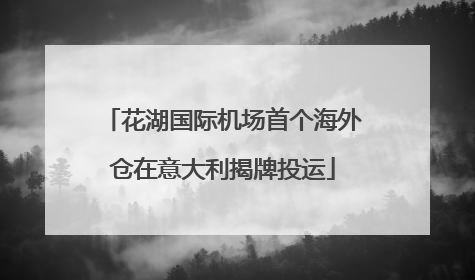 花湖国际机场首个海外仓在意大利揭牌投运