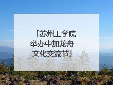 苏州工学院举办中加龙舟文化交流节