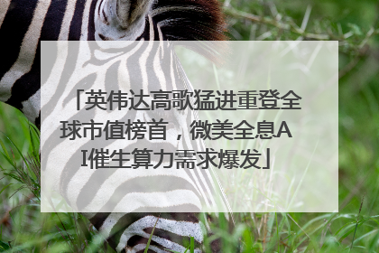 英伟达高歌猛进重登全球市值榜首，微美全息AI催生算力需求爆发
