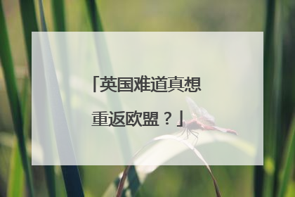 英国难道真想重返欧盟？