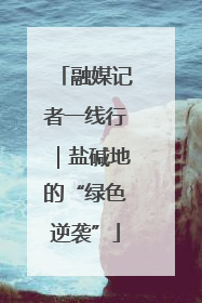 融媒记者一线行｜盐碱地的“绿色逆袭”