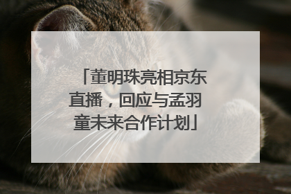 董明珠亮相京东直播，回应与孟羽童未来合作计划