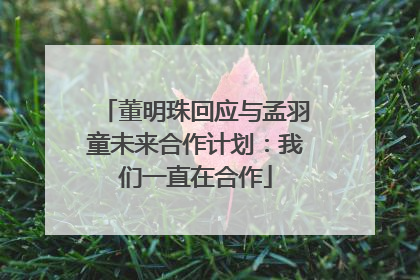 董明珠回应与孟羽童未来合作计划：我们一直在合作