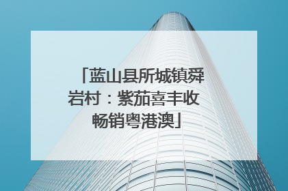 蓝山县所城镇舜岩村：紫茄喜丰收 畅销粤港澳
