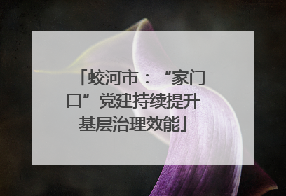 蛟河市：“家门口”党建持续提升基层治理效能