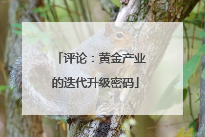 评论：黄金产业的迭代升级密码