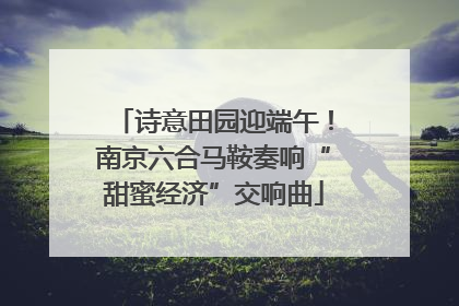 诗意田园迎端午！南京六合马鞍奏响“甜蜜经济”交响曲