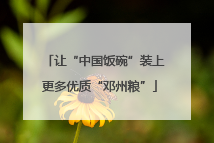 让“中国饭碗”装上更多优质“邓州粮”