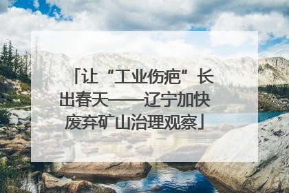 让“工业伤疤”长出春天——辽宁加快废弃矿山治理观察