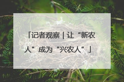 记者观察｜让“新农人”成为“兴农人”