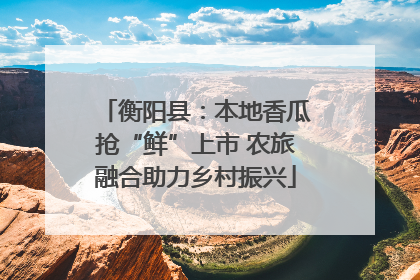 衡阳县：本地香瓜抢“鲜”上市 农旅融合助力乡村振兴