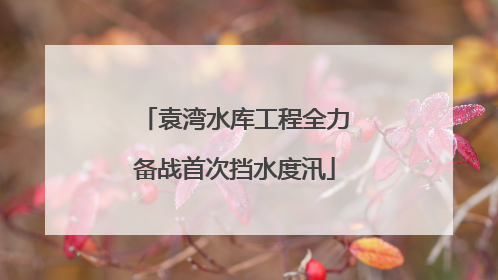 袁湾水库工程全力备战首次挡水度汛