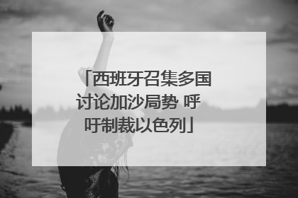 西班牙召集多国讨论加沙局势 呼吁制裁以色列