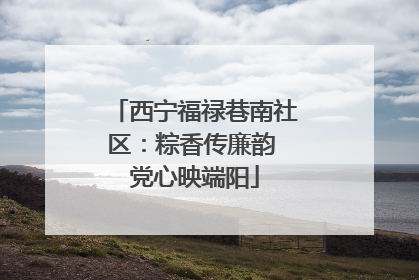 西宁福禄巷南社区：粽香传廉韵 党心映端阳