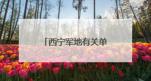 西宁军地有关单位共同走进小学开展未成年人暨军娃保护活动