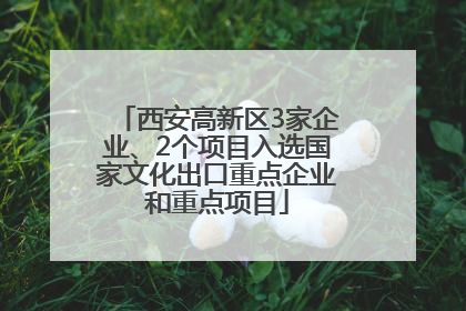 西安高新区3家企业、2个项目入选国家文化出口重点企业和重点项目